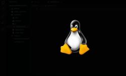 Featured image of post Linux