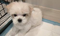 Featured image of post Welcome to My Family